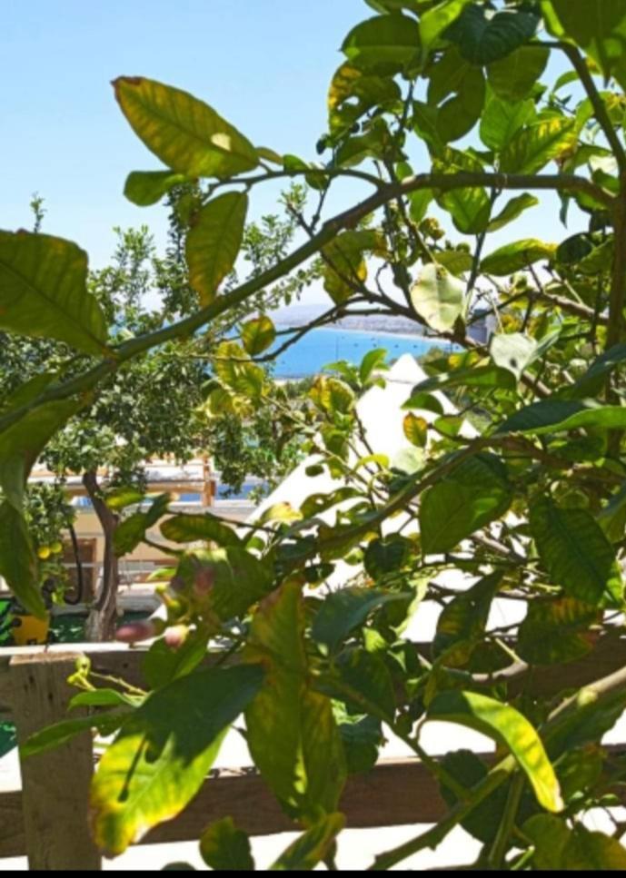Queens Luxury Glamping Palaiokastro  المظهر الخارجي الصورة