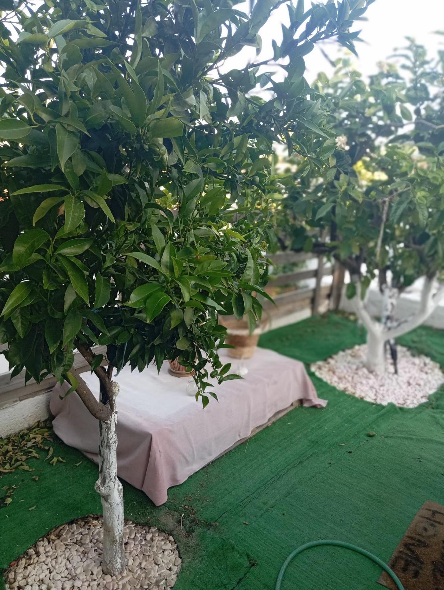 Queens Luxury Glamping Palaiokastro  المظهر الخارجي الصورة