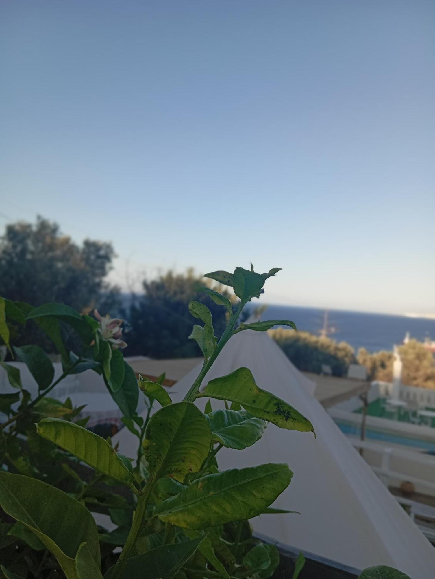 Queens Luxury Glamping Palaiokastro  المظهر الخارجي الصورة