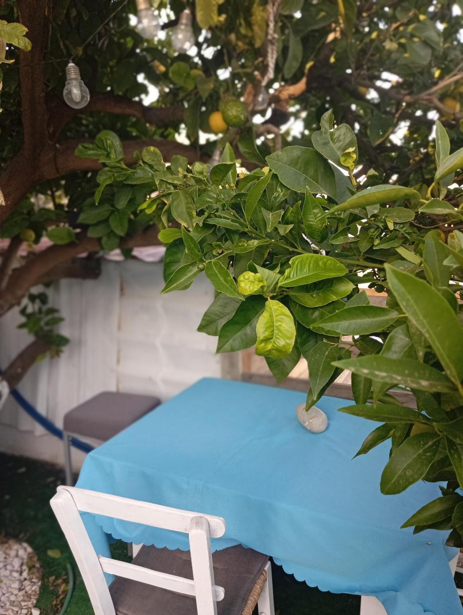 Queens Luxury Glamping Palaiokastro  المظهر الخارجي الصورة