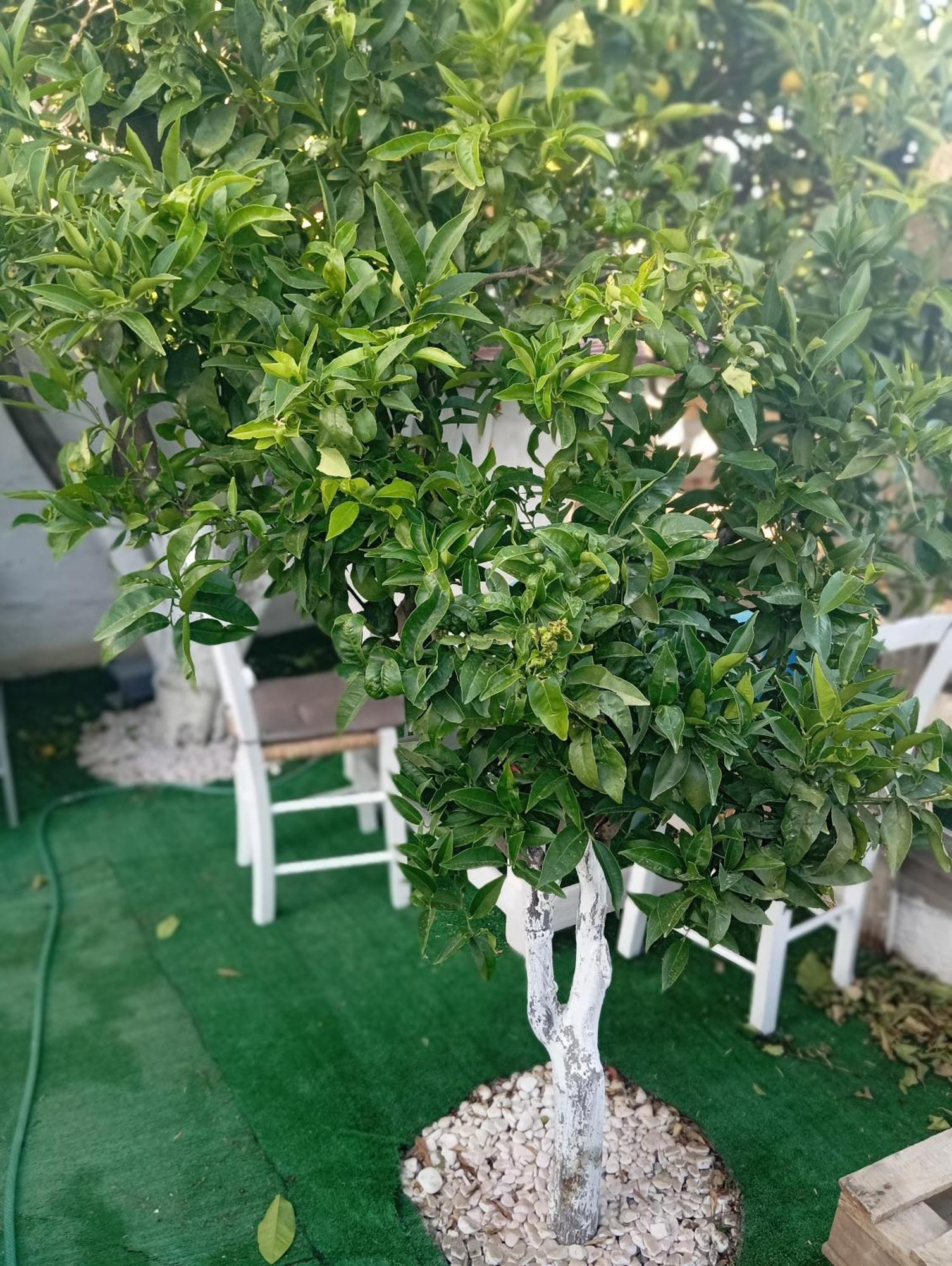Queens Luxury Glamping Palaiokastro  المظهر الخارجي الصورة
